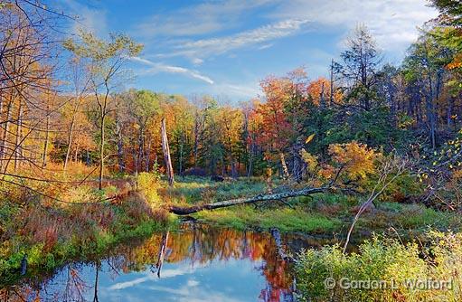Autumn Marsh_23278-80v2.jpg - Photographed at Rideau Lakes, Ontario, Canada.